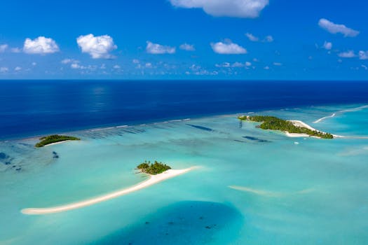 Best Resorts in the Maldives with Coral Reef Access