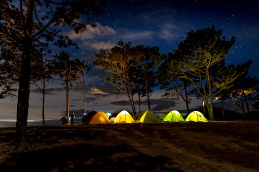 Five-Star Forest Escapes for the Ultra-Wealthy