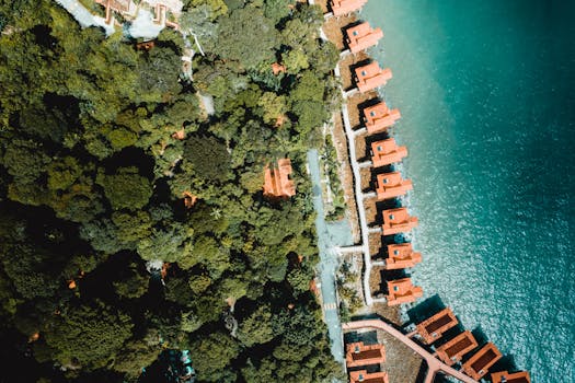 Luxury Villas Hidden in Ancient Forests