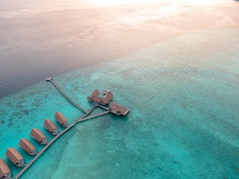 Unveil True Luxury in Africa’s Finest Lodges
