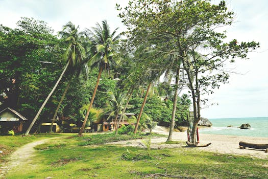 Coral Island Villas in Thailand Koh Tao Coastal Bliss