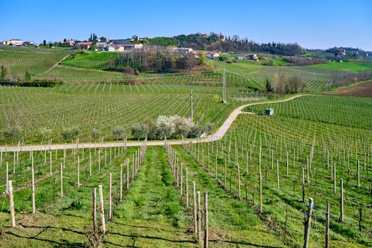 Countryside Wine Villas in Italy Emilia Romagna Grandeur