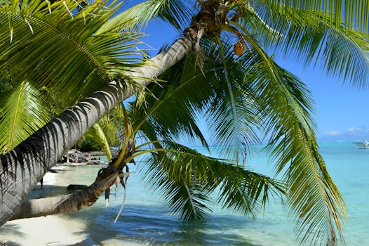 Lagoon Pearl Hotels in Bora Bora Motu Mute Seaside Bliss