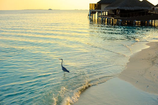 Ocean Dream Resorts in Maldives Huvadhoo Atoll Paradise